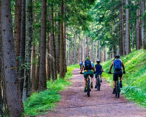 Fahrtechniktraining Mountainbike