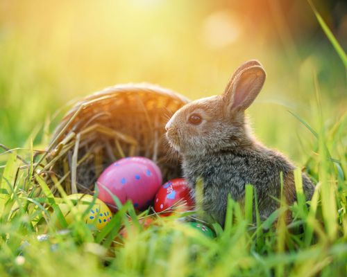Unsere Öffnungszeiten über die Osterfeiertage